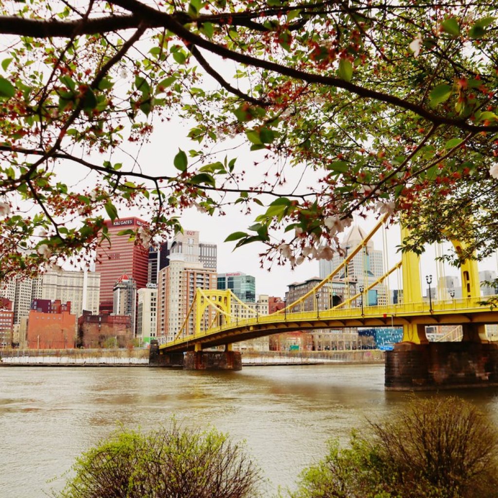 رحلة من مدينة نيويورك إلى مدينة بنسلفانيا5