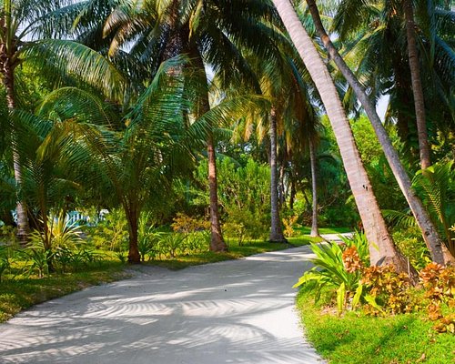 أهم الحدائق و المنتزهات في جزر المالديف
