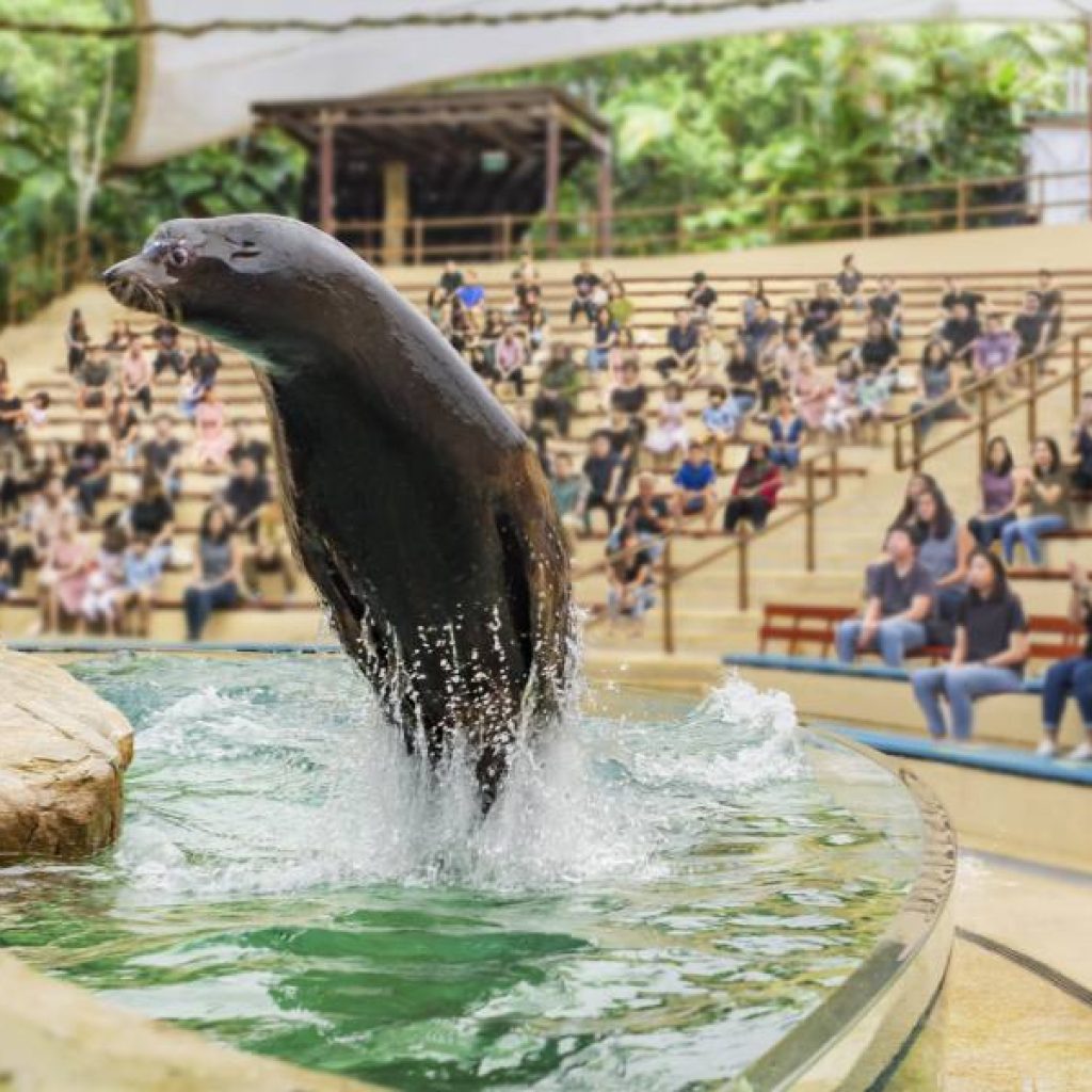 أهم حدائق الحيوان في مدينة سنغافورة