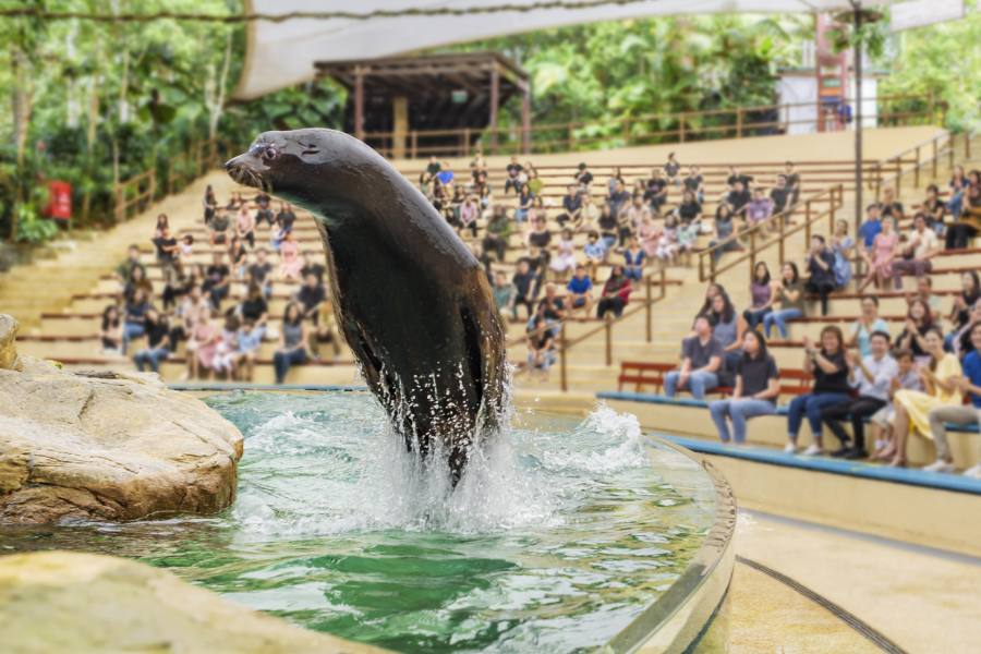 أهم حدائق الحيوان في مدينة سنغافورة