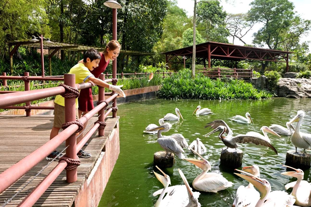 أهم حدائق الحيوان والمتنزهات الترفيهية الأكواريوم في مدينة سنغافورة
