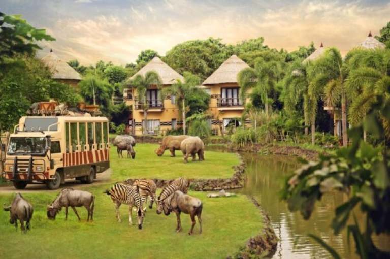 أهم حدائق الحيوان والاكواريوم في جزيرة بالي