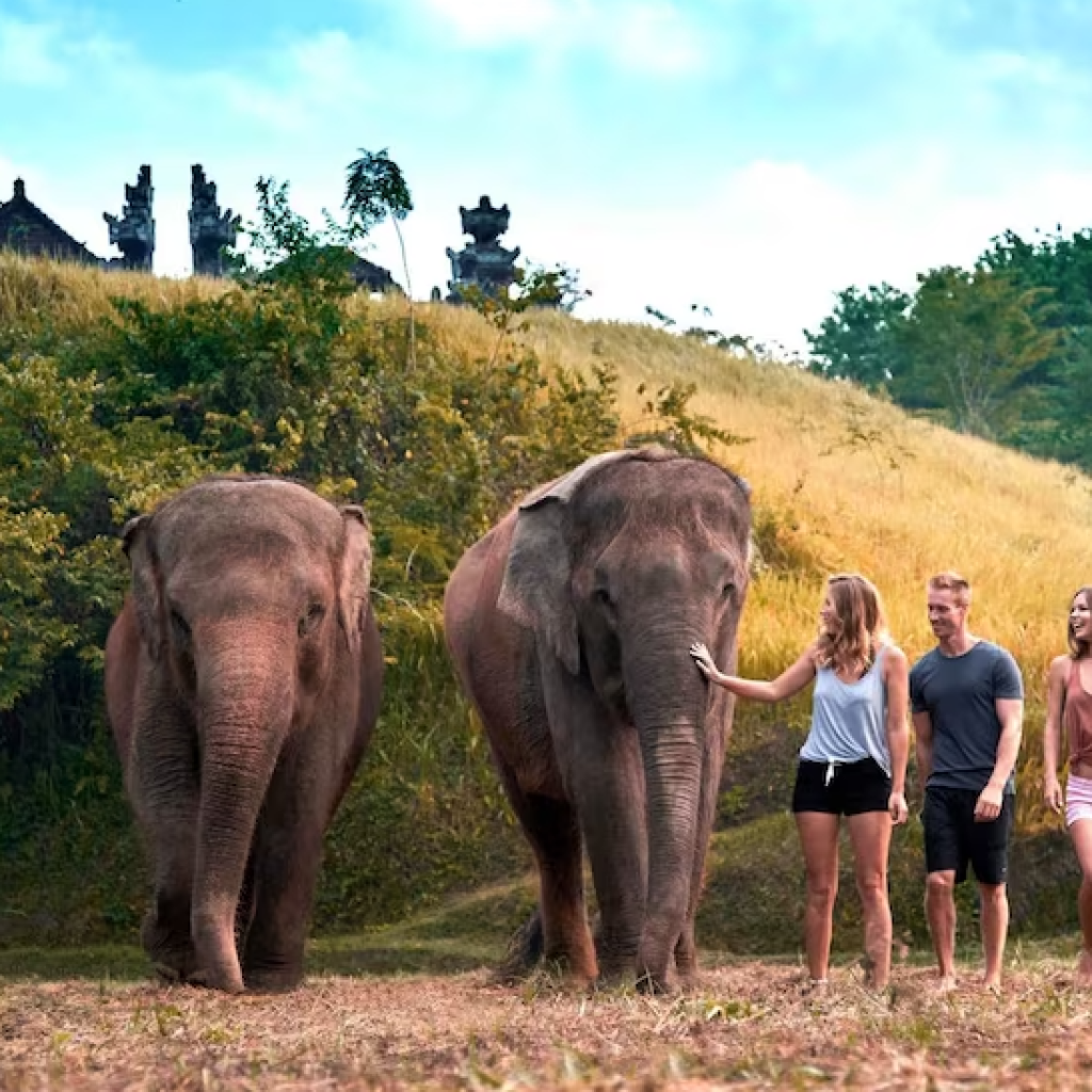 أهم حدائق الحيوان في جزيرة بالي