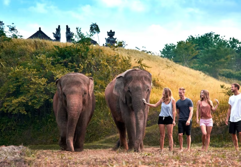 أهم حدائق الحيوان في جزيرة بالي