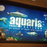 أكواريا بوكيت ٢