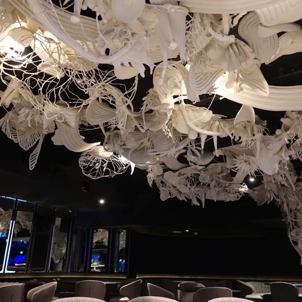 أكواريا بوكيت ٣