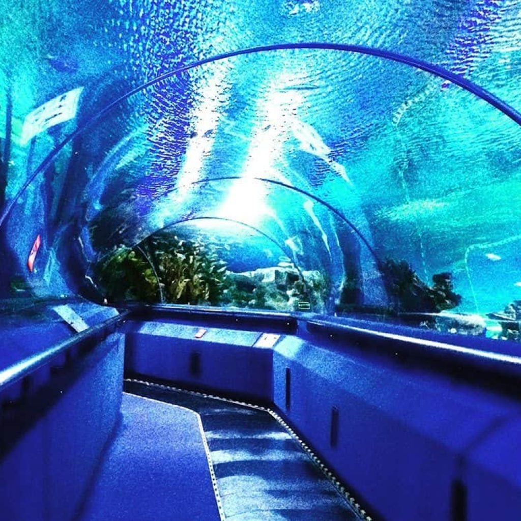 أكواريا كيه إل سي سي