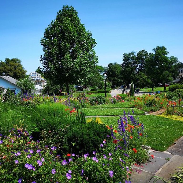 أهم الحدائق و المنتزهات وحدائق الأطفال في نيويورك