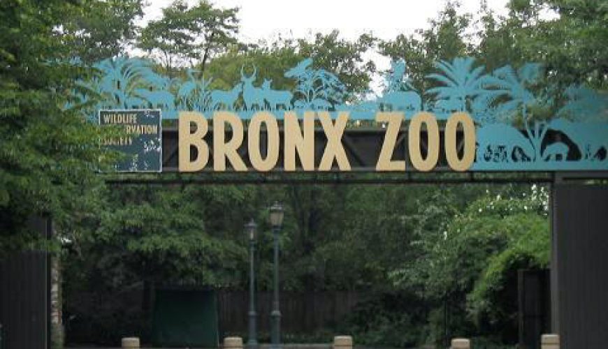 أهم حدائق الحيوانات في مدينة نيويورك