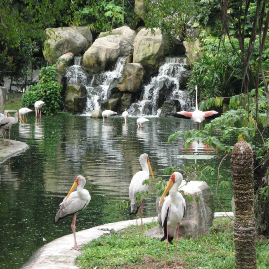 أهم حدائق وأنشطة الأطفال في مدينة كوالالمبور