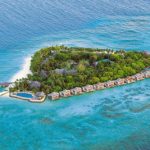 اتش بي رييف