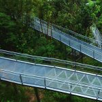 الحواف الجنوبية