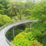 الحواف الجنوبية