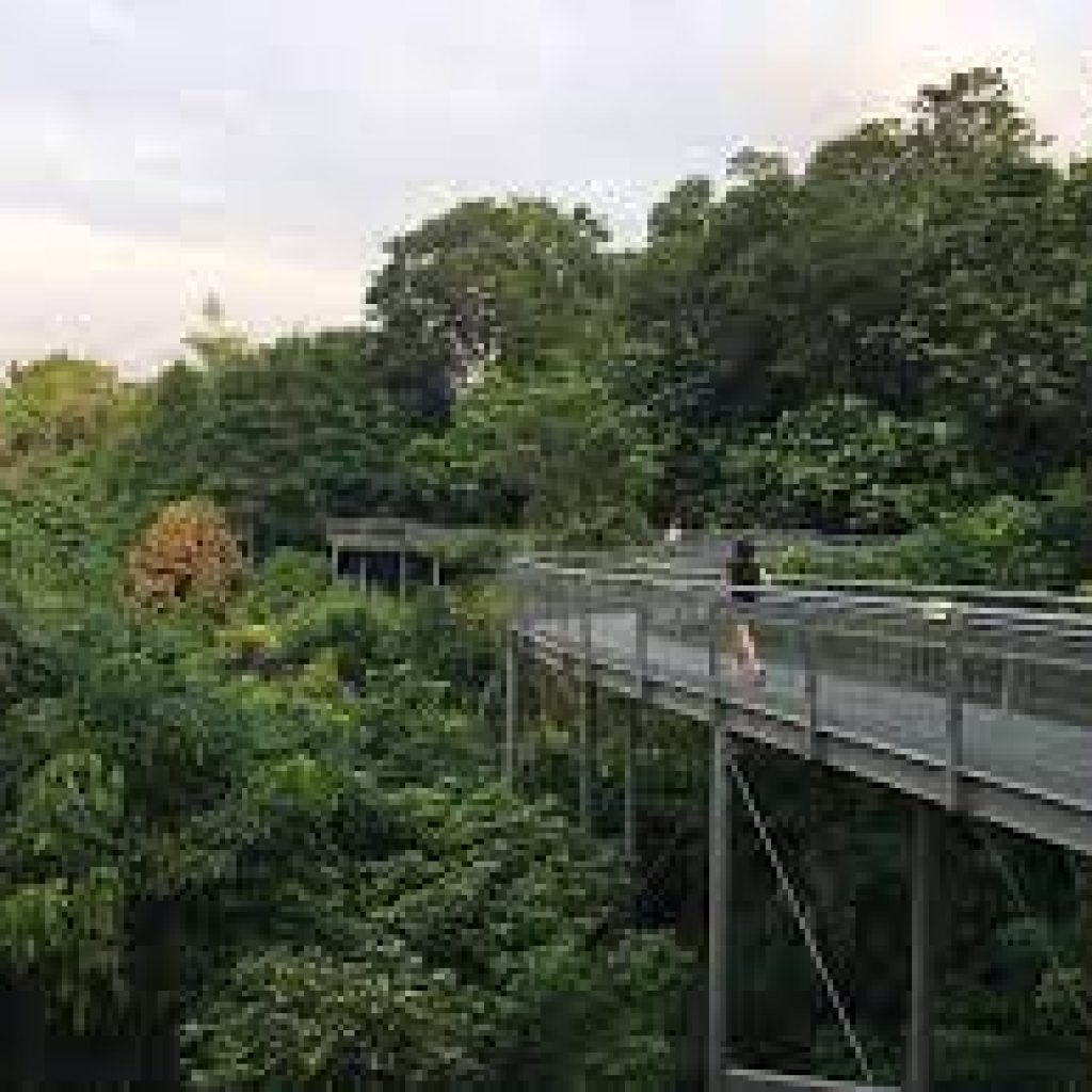 الحواف الجنوبية ١