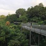 الحواف الجنوبية ١