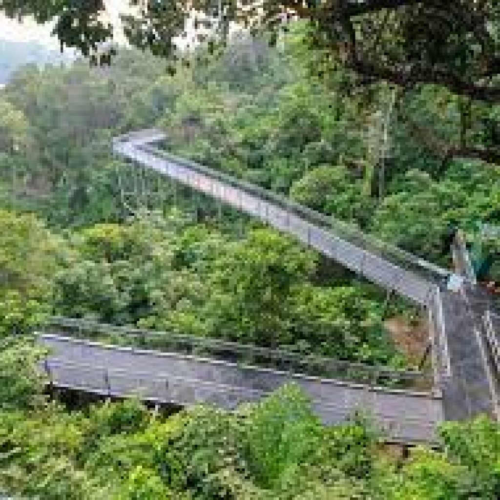 الحواف الجنوبية ٢