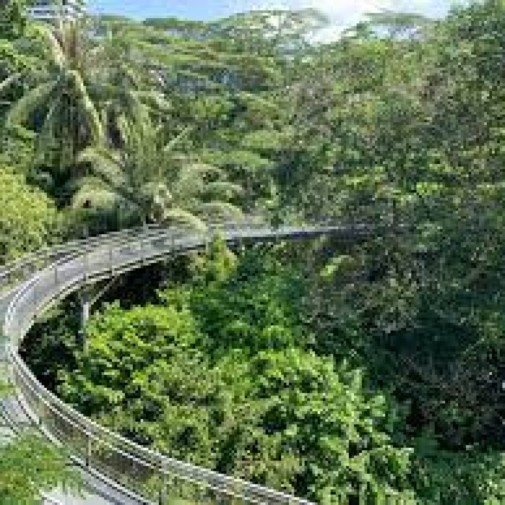 الحواف الجنوبية ٣