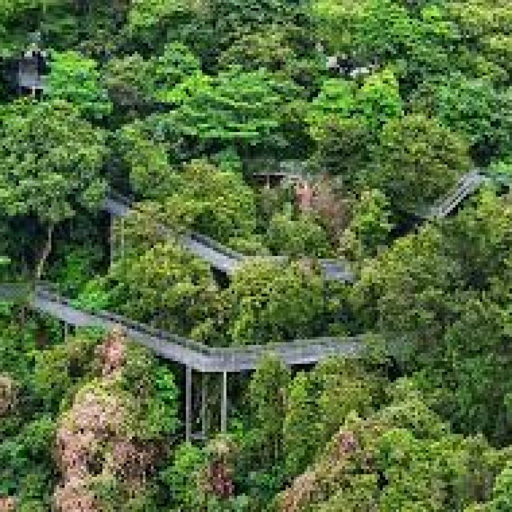 الحواف الجنوبية ٤