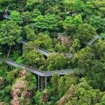 الحواف الجنوبية ٤