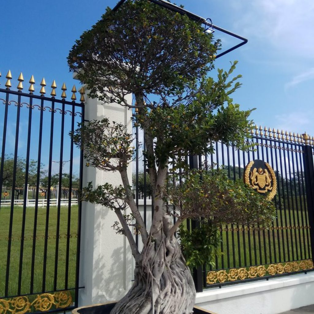 القصر الوطني في كوالالمبور