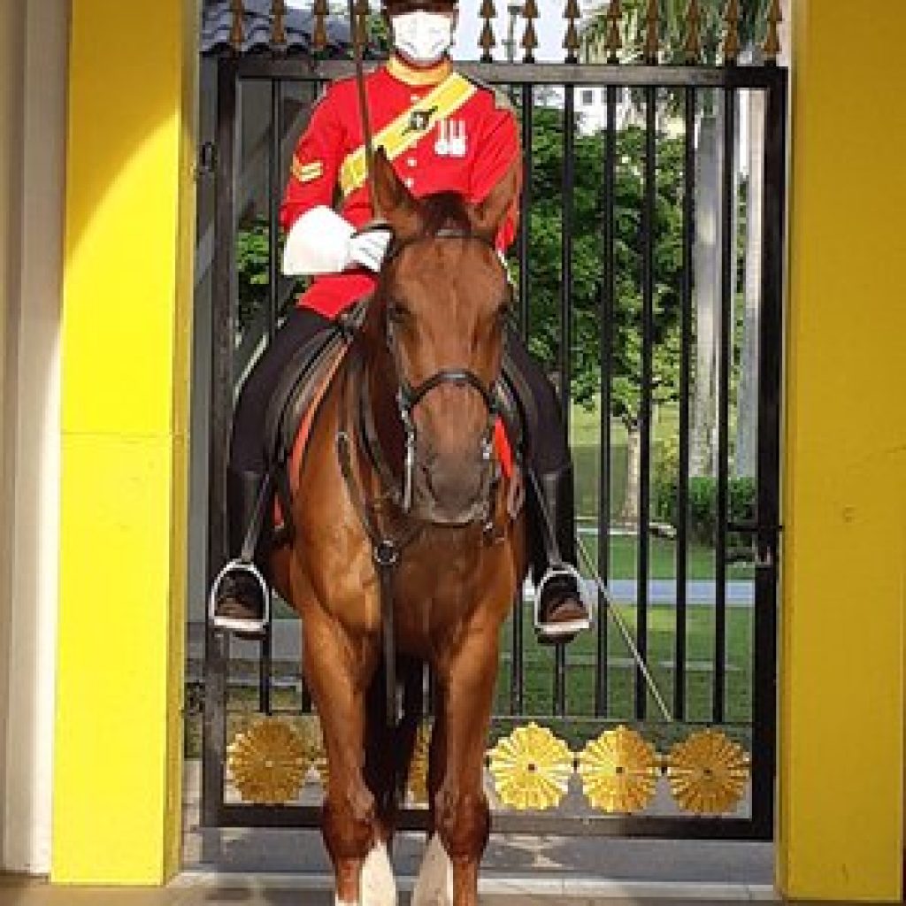 القصر الوطني في كوالالمبور