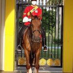 القصر الوطني في كوالالمبور