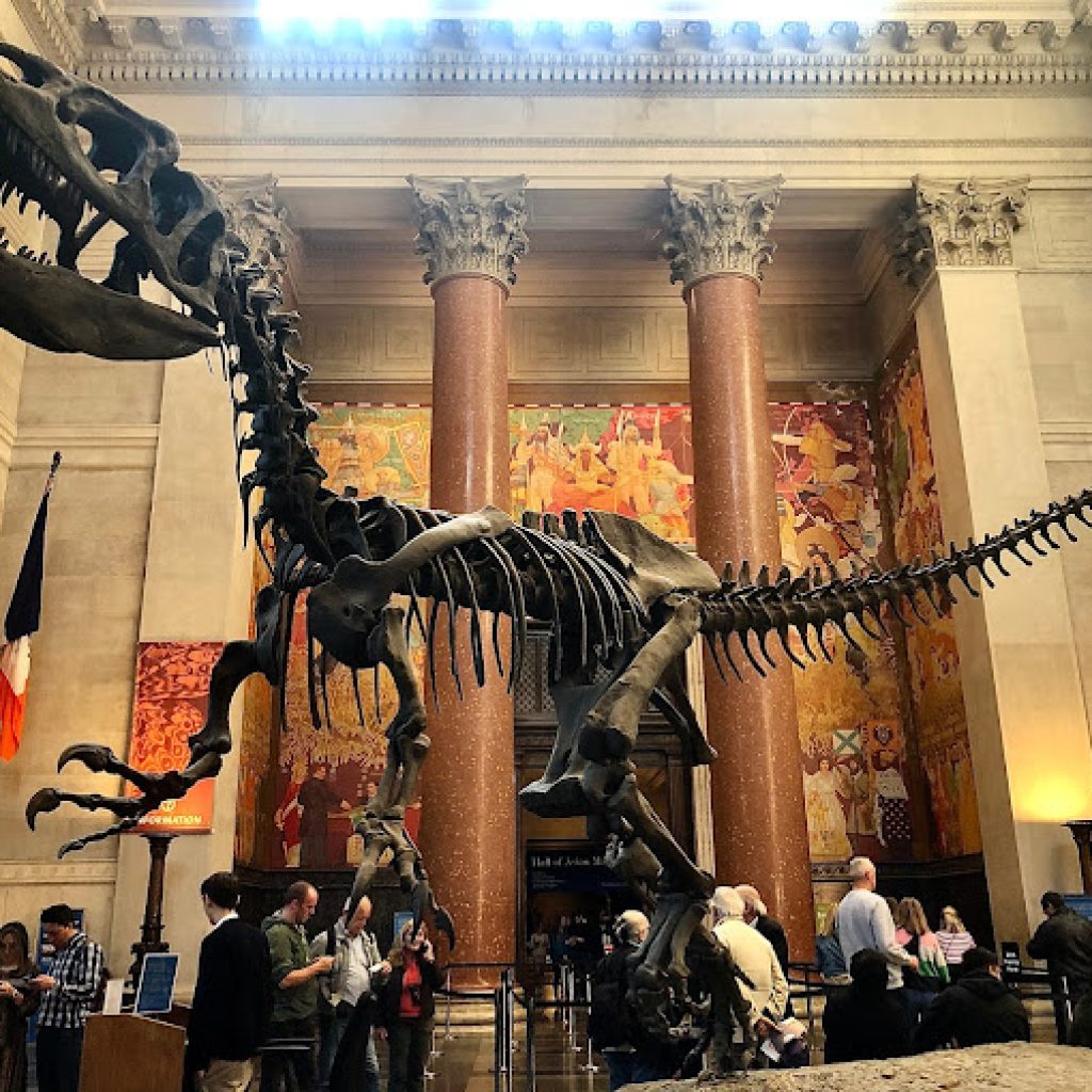 المتحف الأمريكي للتاريخ الطبيعي ٤