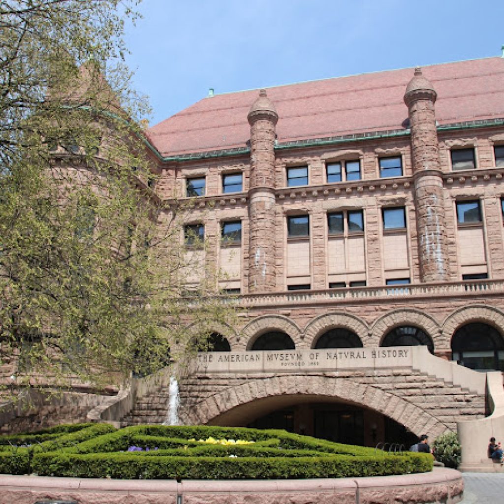 المتحف الأمريكي للتاريخ الطبيعي ٦