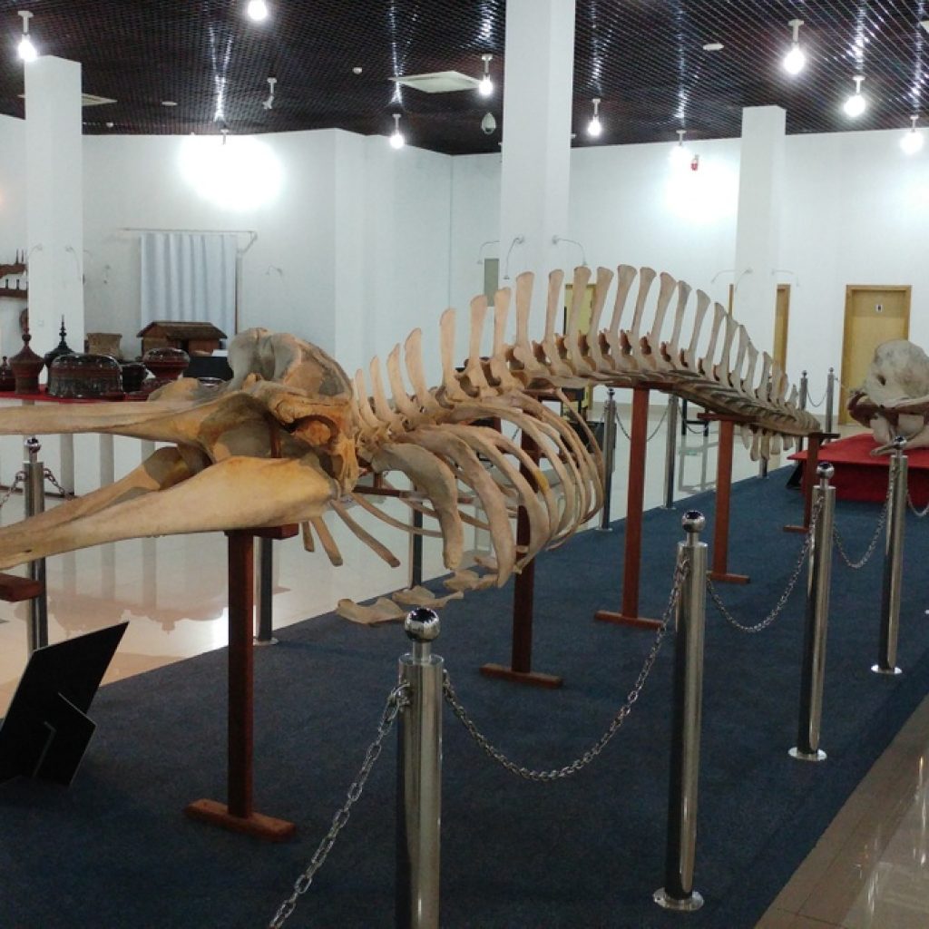 المتحف الوطني فى جزر المالديف