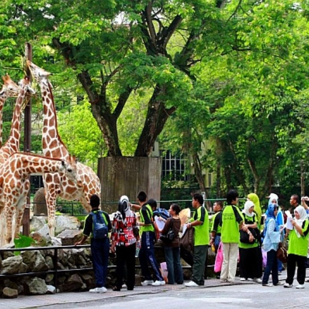 اهم حدائق الحيوان في مدينة كوالالمبور