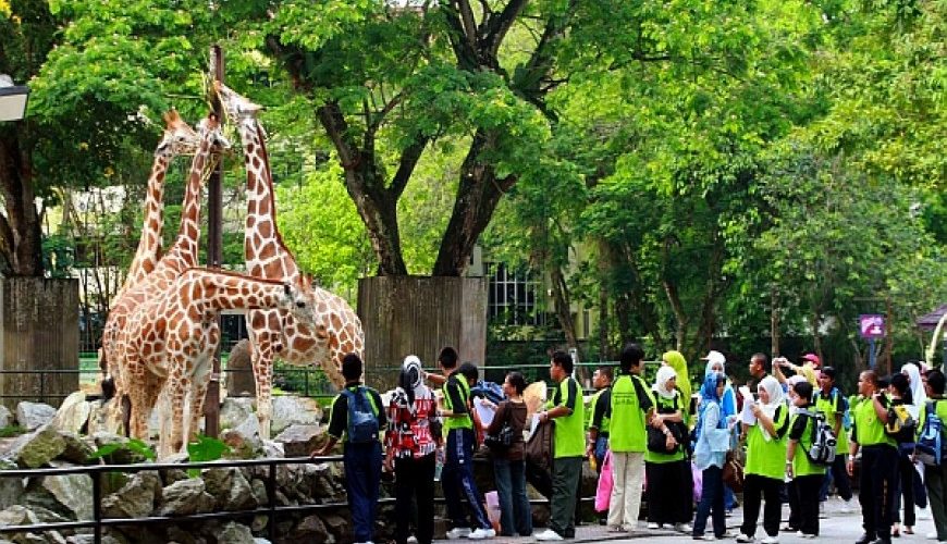 اهم حدائق الحيوان في مدينة كوالالمبور