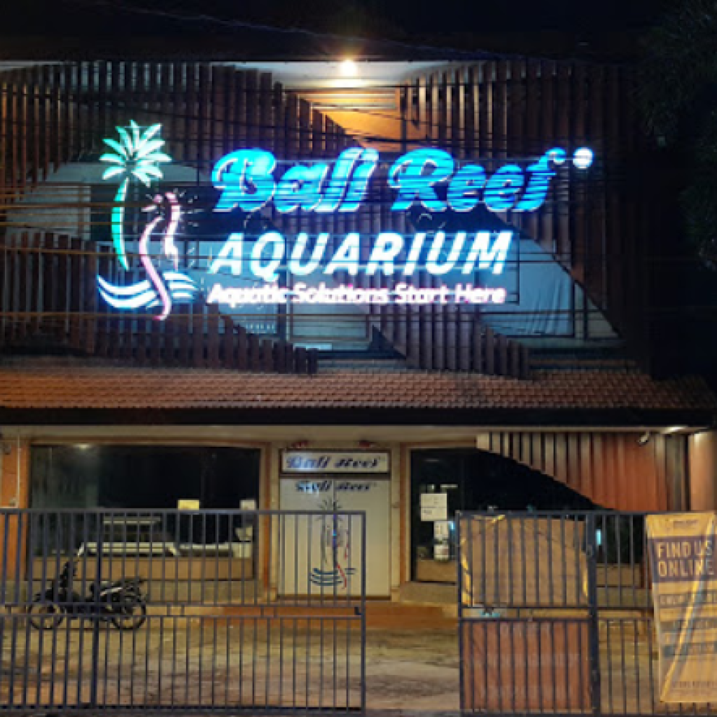 بالي ريف اكواريوم