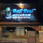 بالي ريف اكواريوم (2)