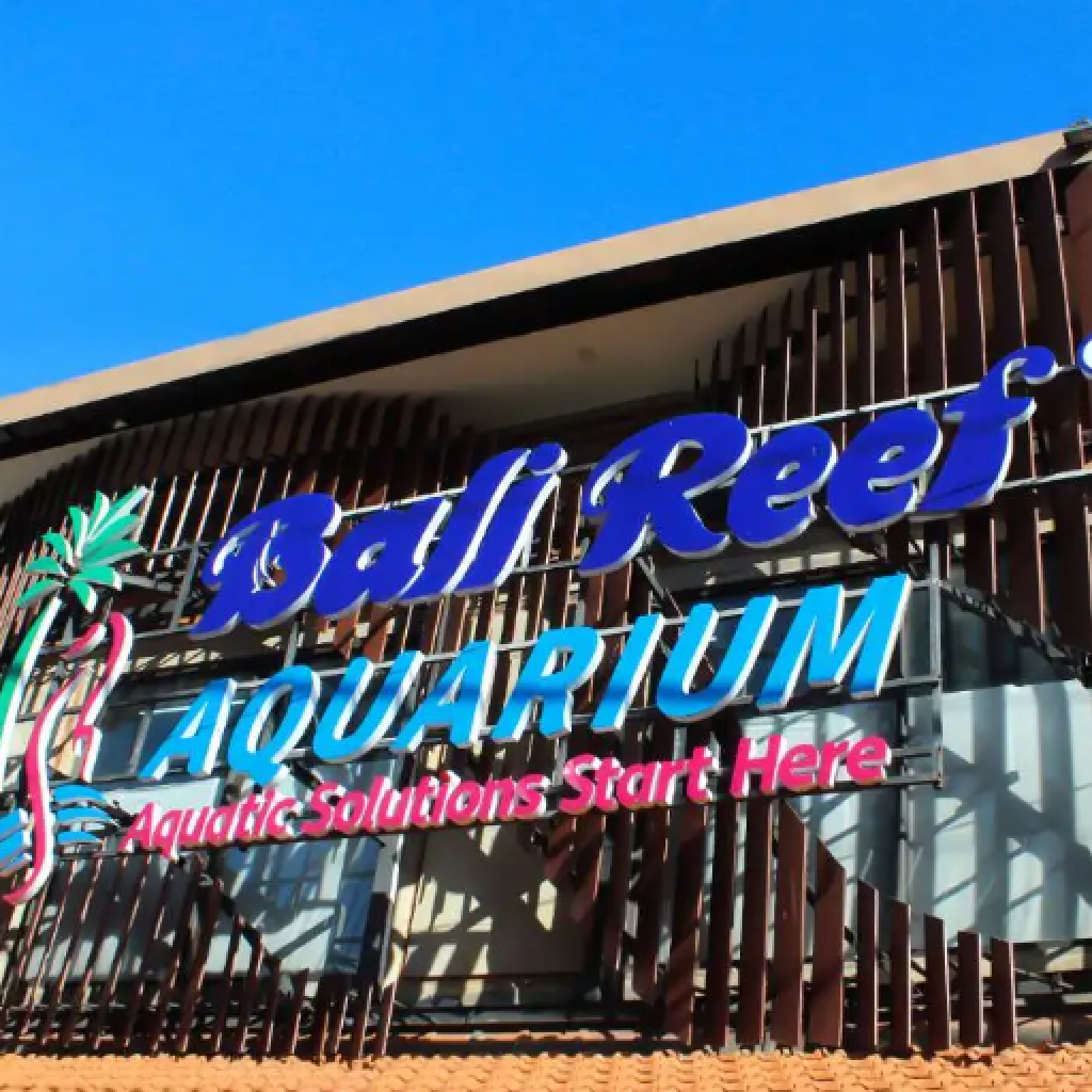 بالي ريف اكواريوم (6)