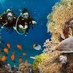 بانانا ريف المرجانية