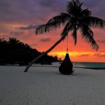 رحلة من جزر المالديف إلى جزيرة اليماتا