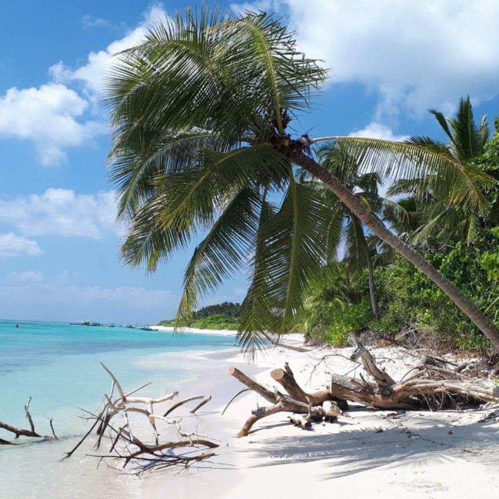 زيارة جزيرة ثودو