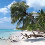 زيارة جزيرة ثودو