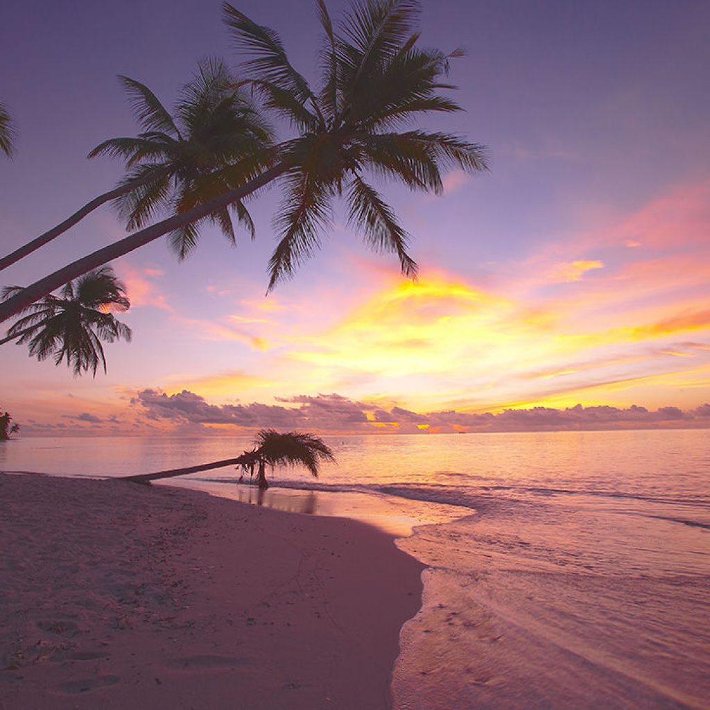 رحلة من جزر المالديف إلى جزيرة فافو أتول