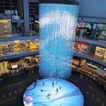 جسر الحلزون ٢