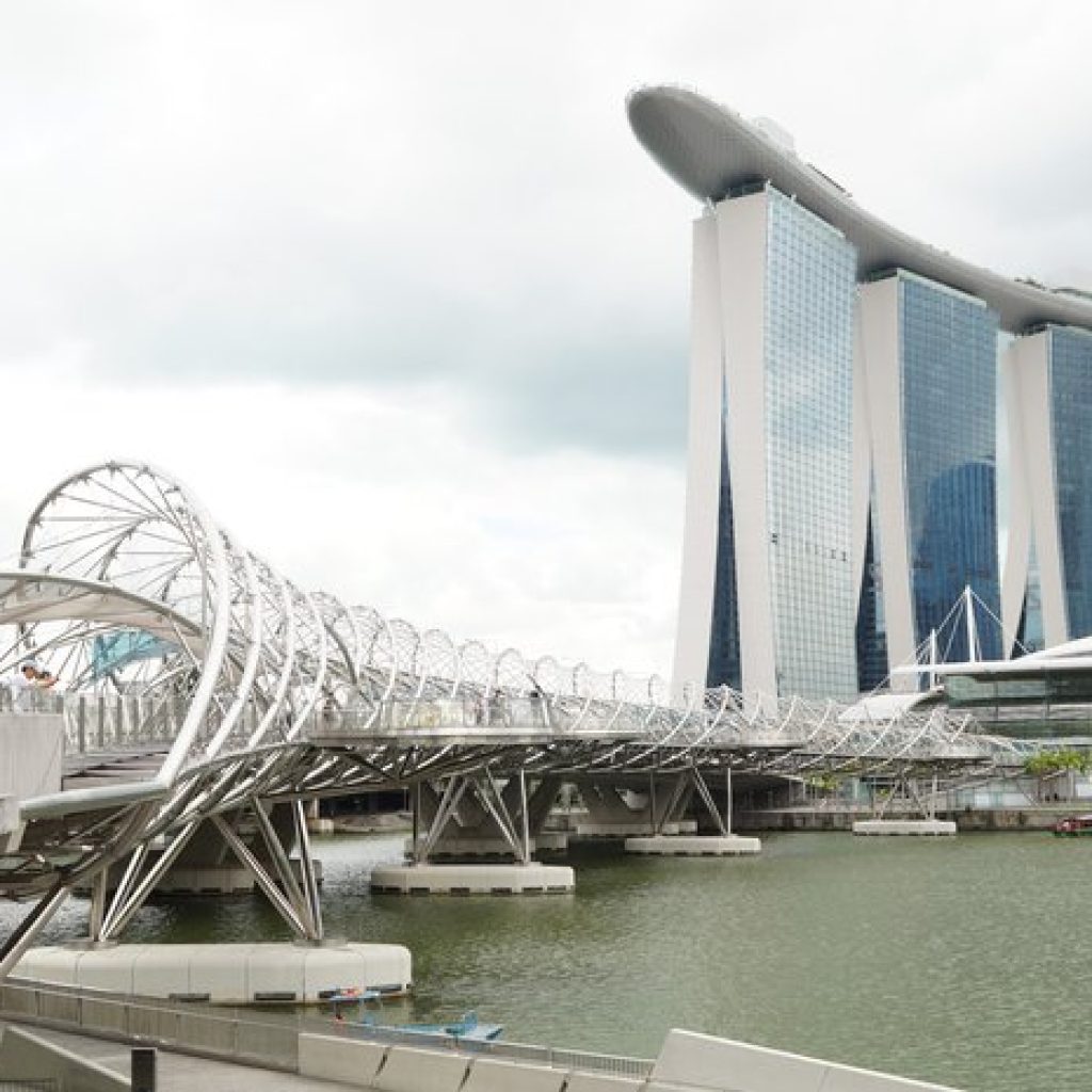 جسر الحلزون ٥