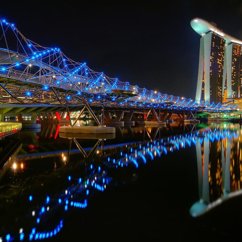 جسر الحلزون ٦