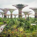 حدائق الخليج ٥