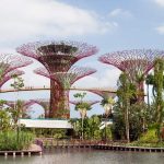 حدائق الخليج ٦