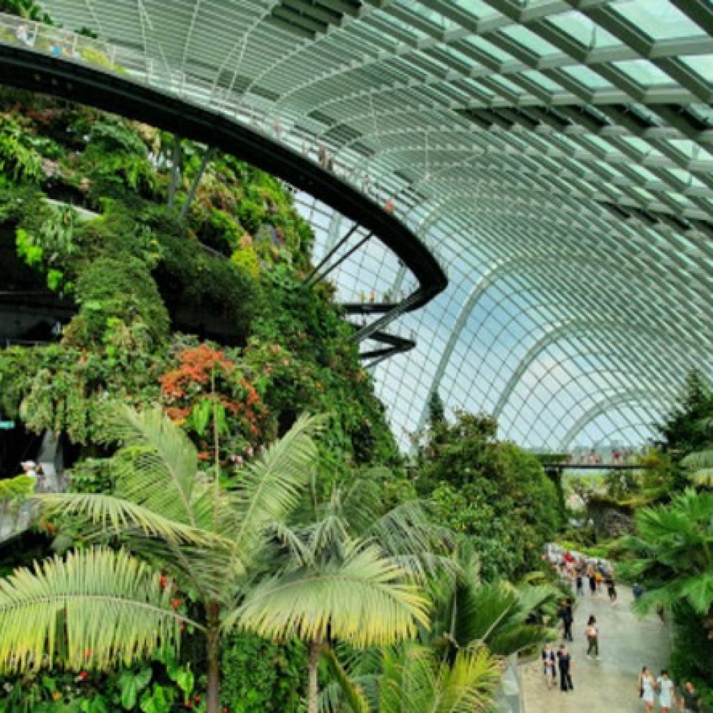 حدائق الخليج ٧