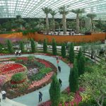 حدائق الخليج ٨