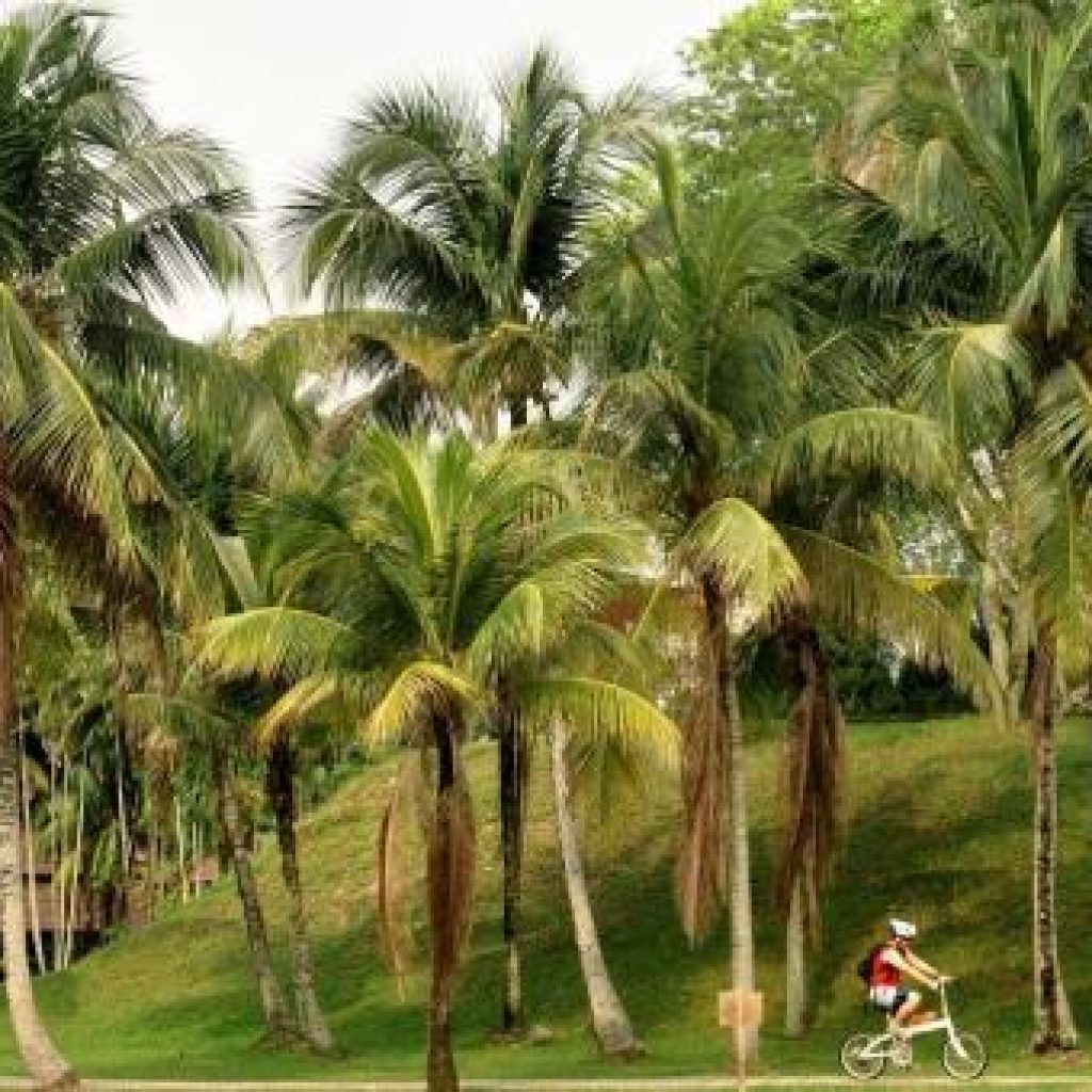 حدائق بحيرة تيتيوانجسا