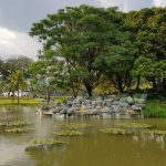 حدائق بحيرة تيتيوانجسا