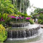 حدائق سنغافورة النباتية ٢