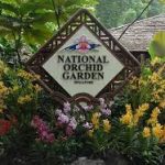 حدائق سنغافورة النباتية ٣